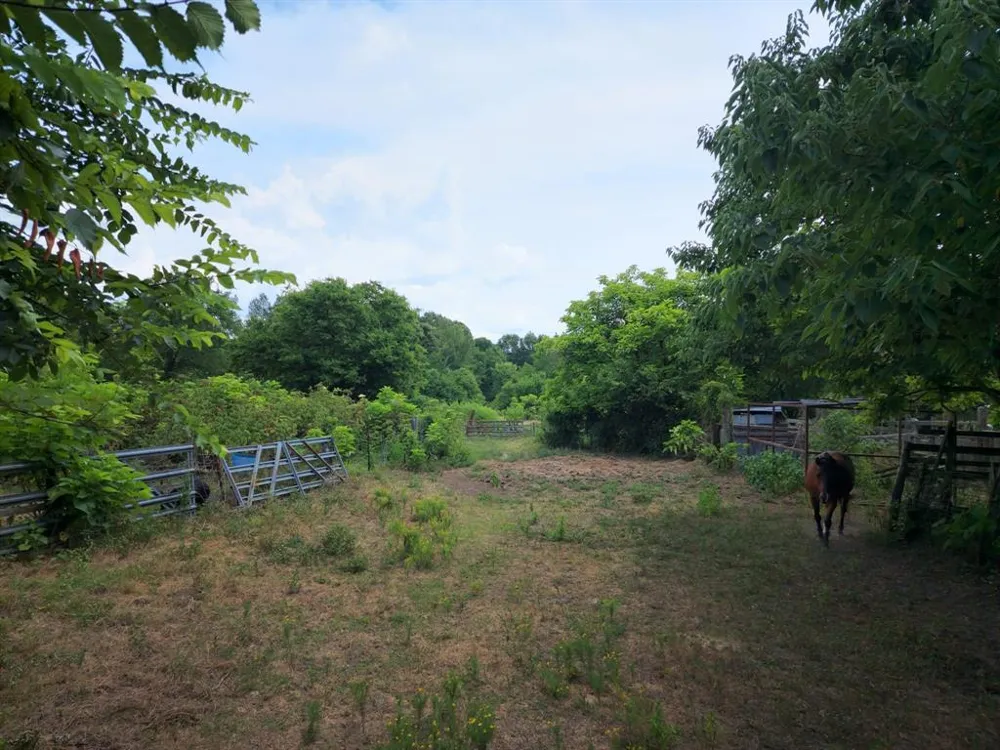 2110 Fm 275 Emory, TX 75440