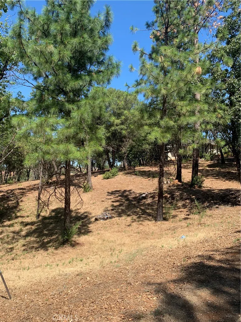 4896 Malibu Drive Paradise, CA 95969