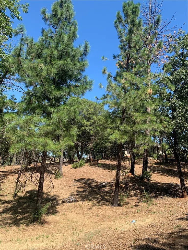 4896 Malibu Drive Paradise, CA 95969