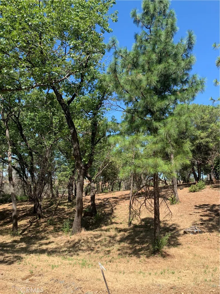 4896 Malibu Drive Paradise, CA 95969