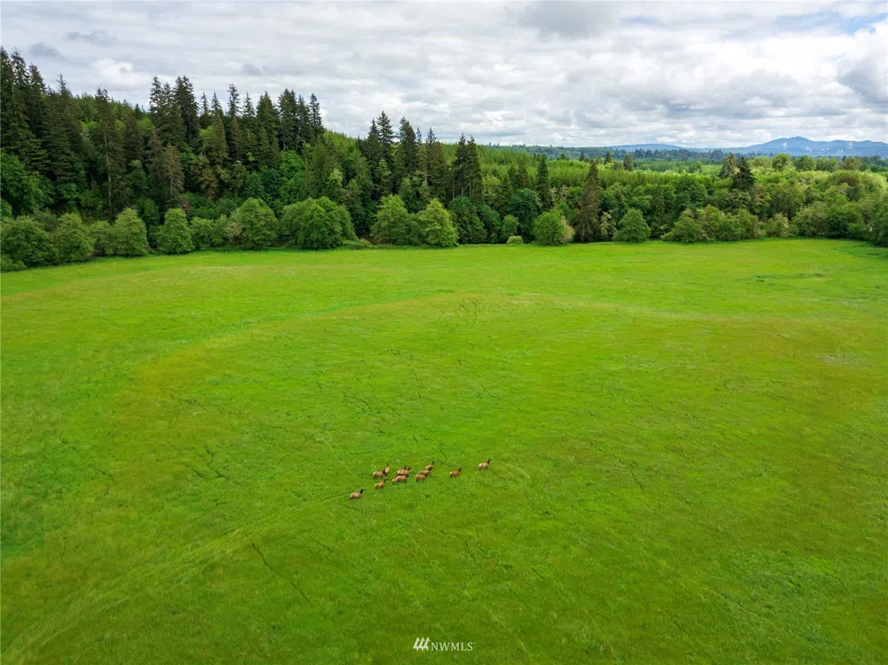 732 Satsop Road W Montesano, WA 98563