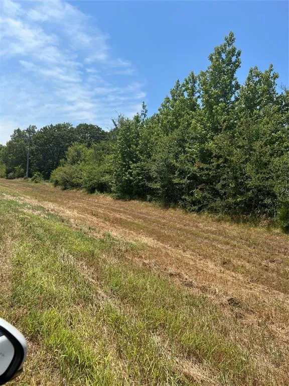 FM 3042 Pittsburg, TX 75686