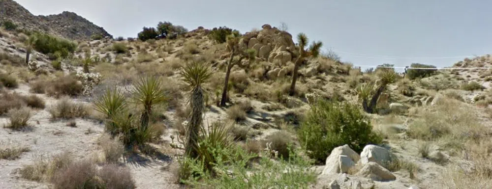 57302 Bandera Road Yucca Valley, CA 92284