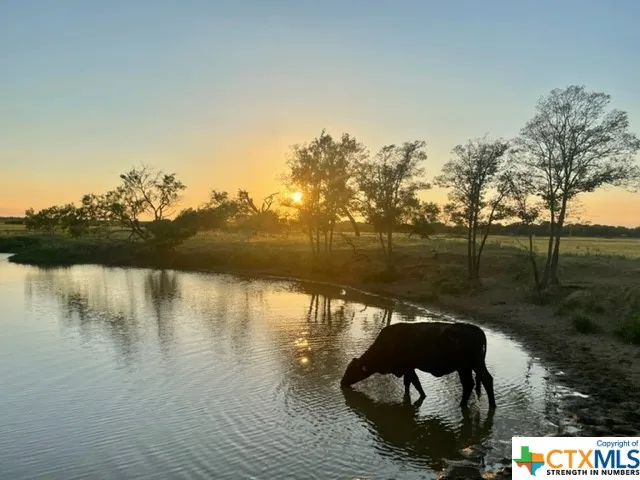 CR 358 Gause, TX 77857