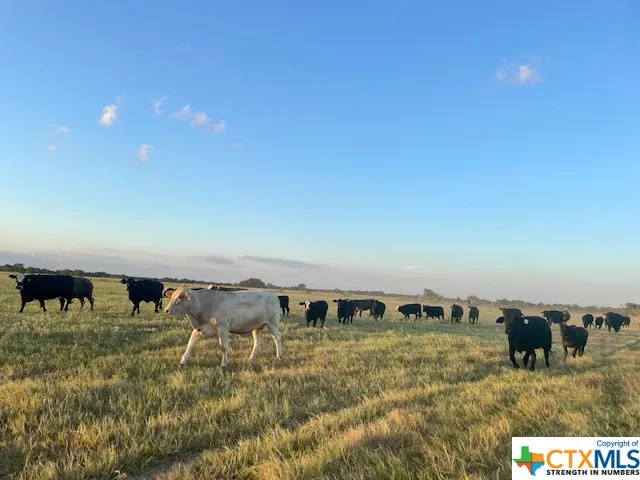 CR 358 Gause, TX 77857
