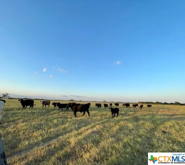 CR 358 Gause, TX 77857
