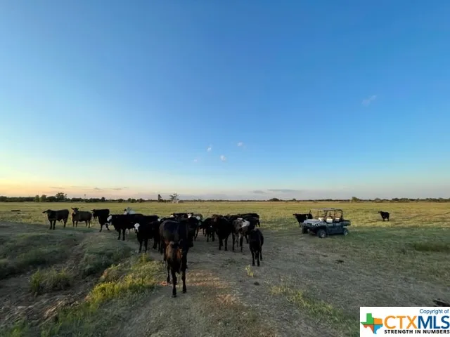 CR 358 Gause, TX 77857
