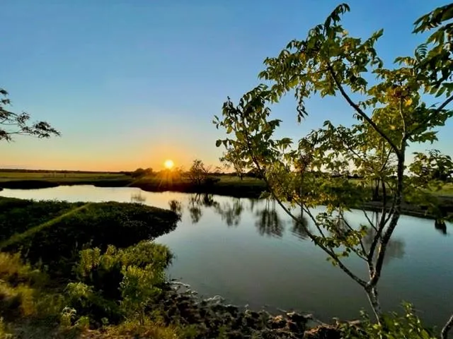 CR 358 Gause, TX 77857