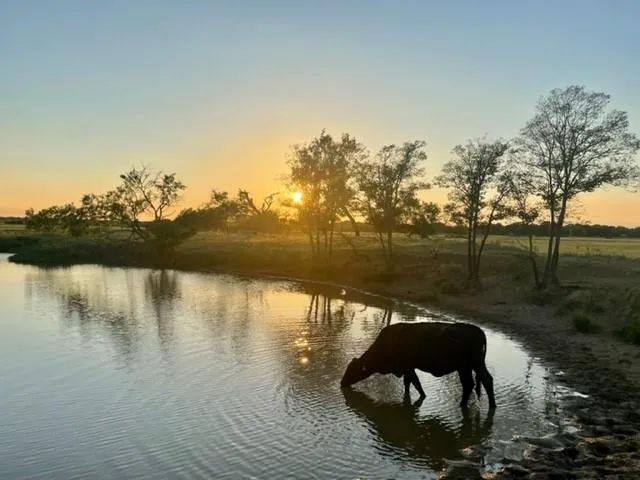 CR 358 Gause, TX 77857