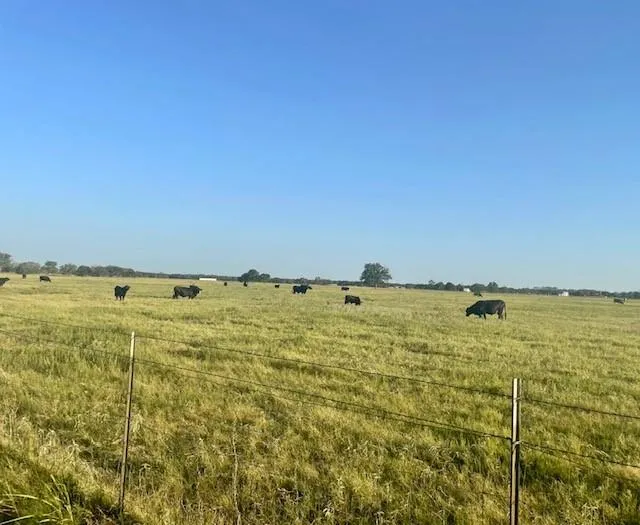 CR 358 Gause, TX 77857