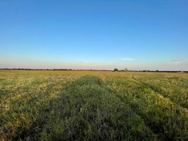 CR 358 Gause, TX 77857