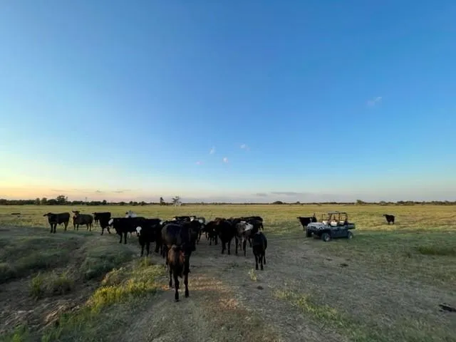 CR 358 Gause, TX 77857