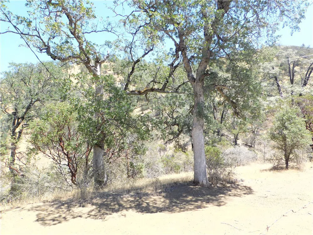 997 Watertrough Rd Clearlake Oaks, CA 95423