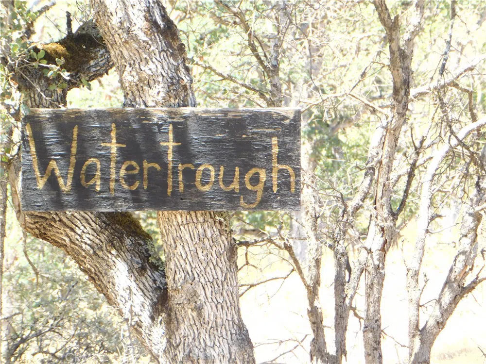 997 Watertrough Rd Clearlake Oaks, CA 95423