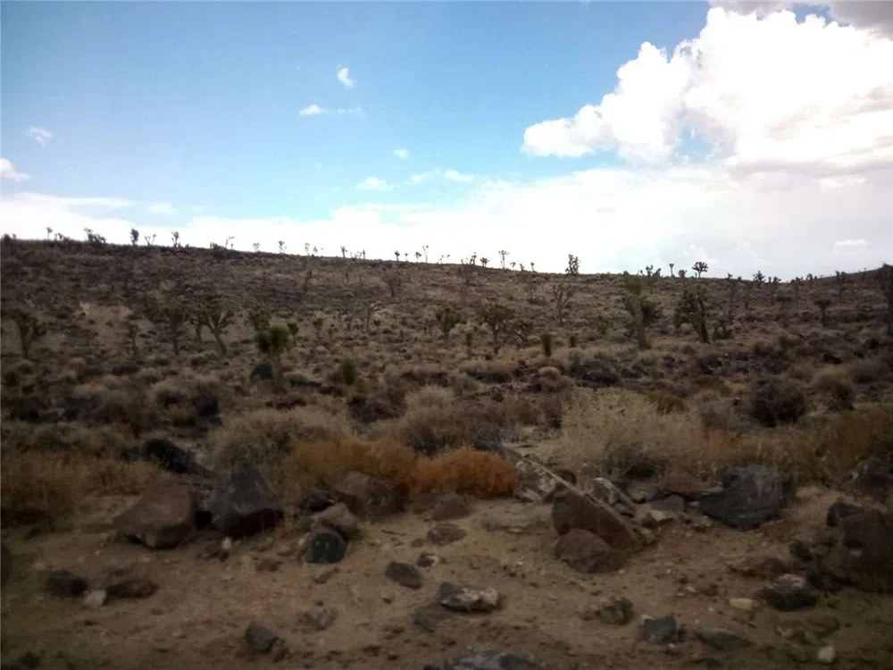 S Warm Spring Road Other, CA 93526