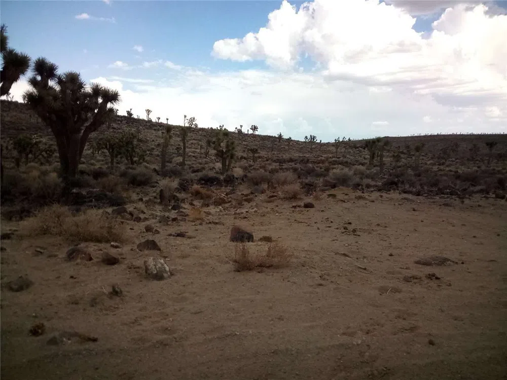 S Warm Spring Road Other, CA 93526