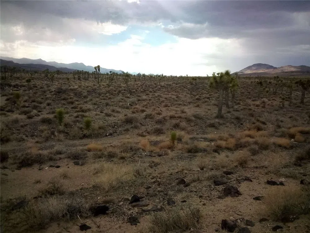 S Warm Spring Road Other, CA 93526
