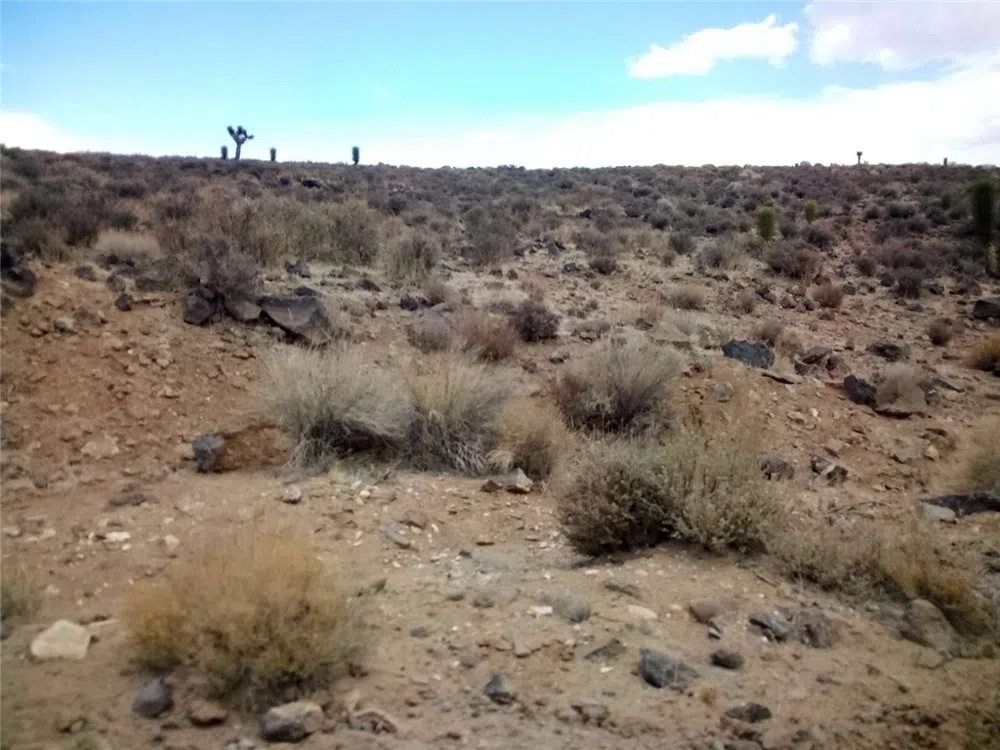 S Warm Spring Road Other, CA 93526