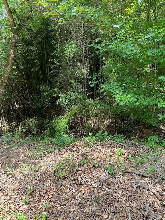 CR 4131 Mount Vernon, TX 75457