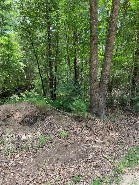CR 4131 Mount Vernon, TX 75457