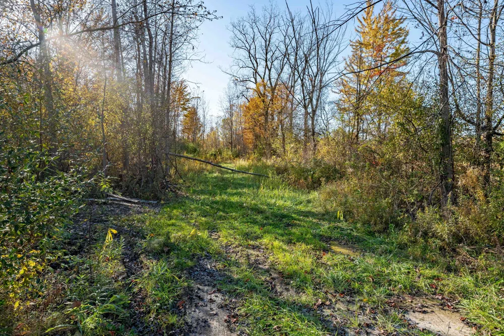 S FOREST Lenox Township, MI 48050
