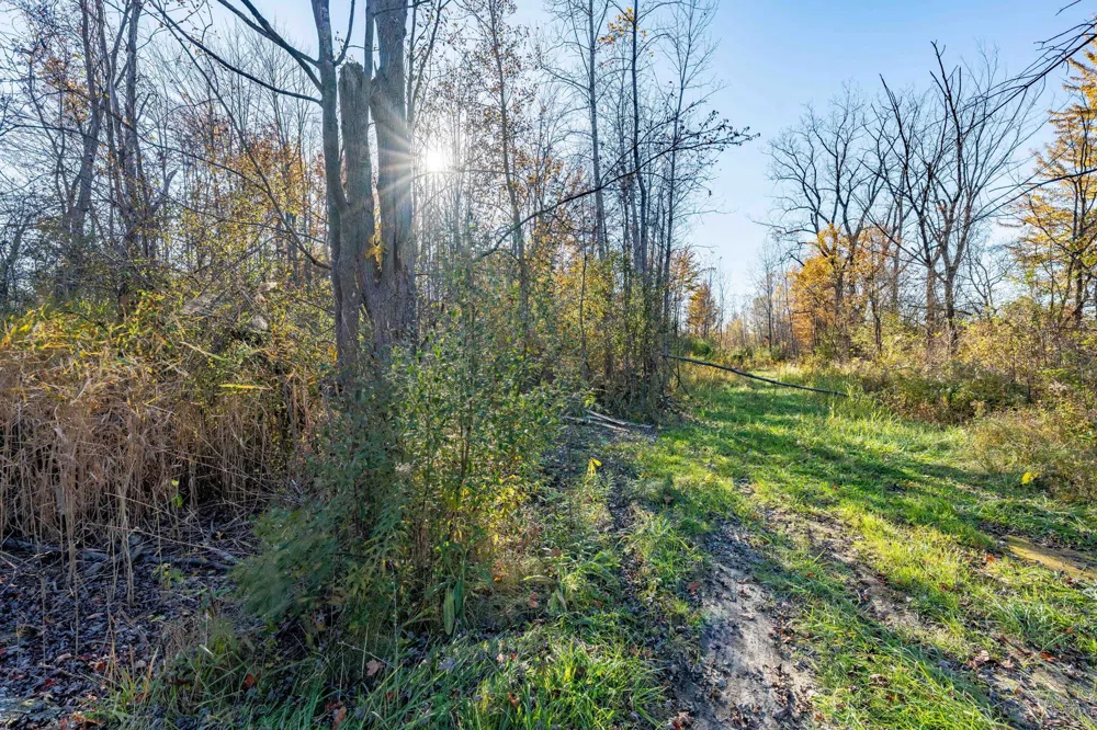 S FOREST Lenox Township, MI 48050