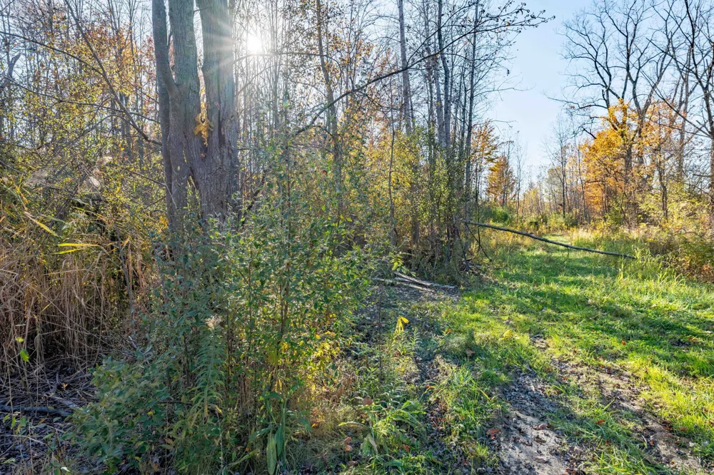S FOREST Lenox Township, MI 48050