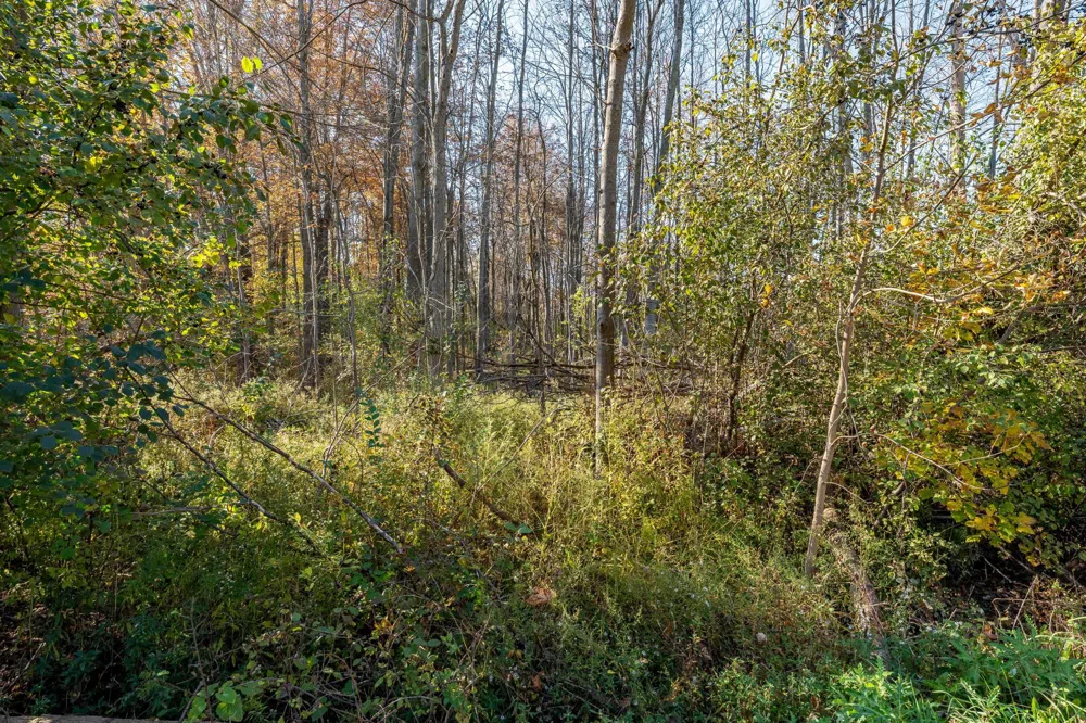 S FOREST Lenox Township, MI 48050