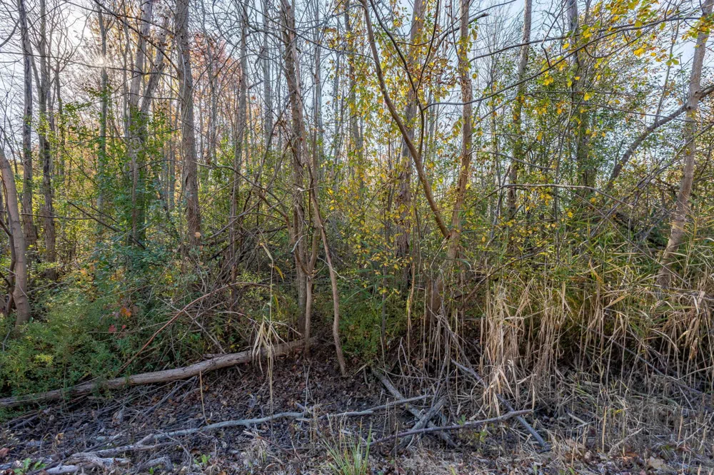 S FOREST Lenox Township, MI 48050