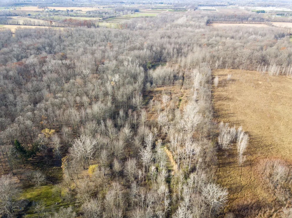 S FOREST Lenox Township, MI 48050