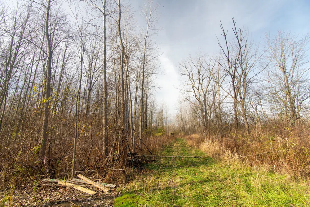 S FOREST Lenox Township, MI 48050