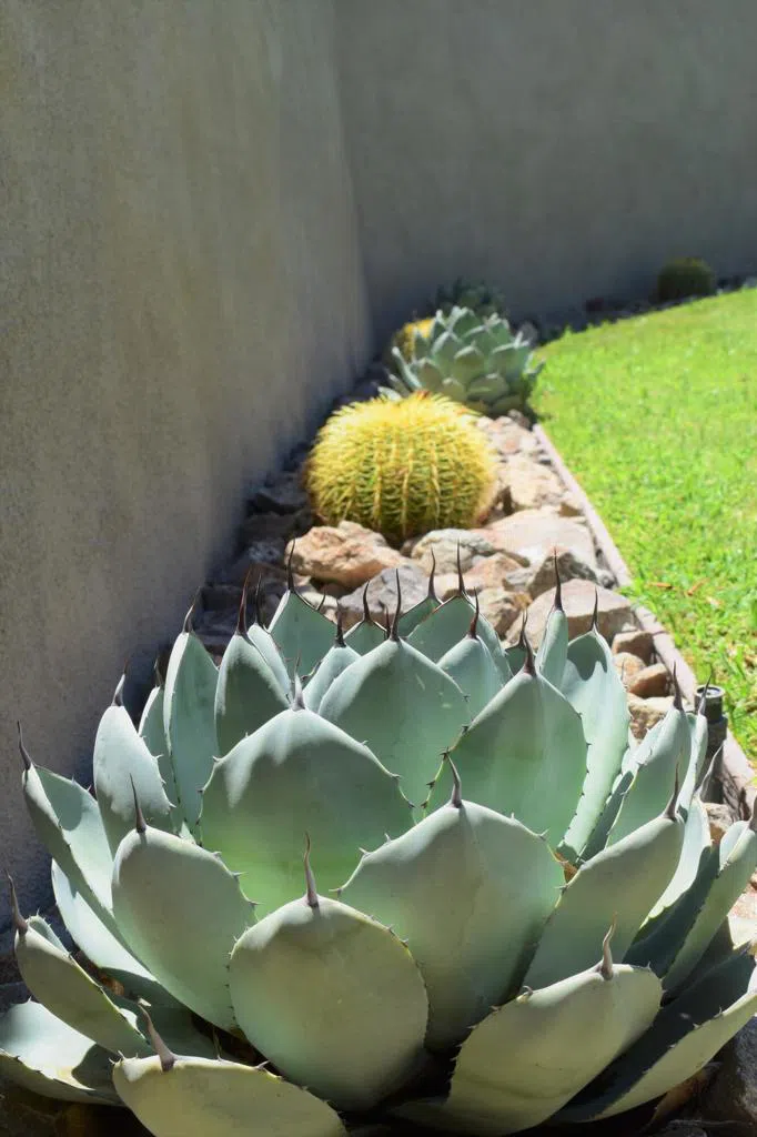 51225 Avenida Ramirez La Quinta, CA 92253