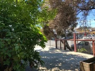 418 Cedar Street Santa Cruz, CA 95060