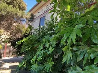 418 Cedar Street Santa Cruz, CA 95060