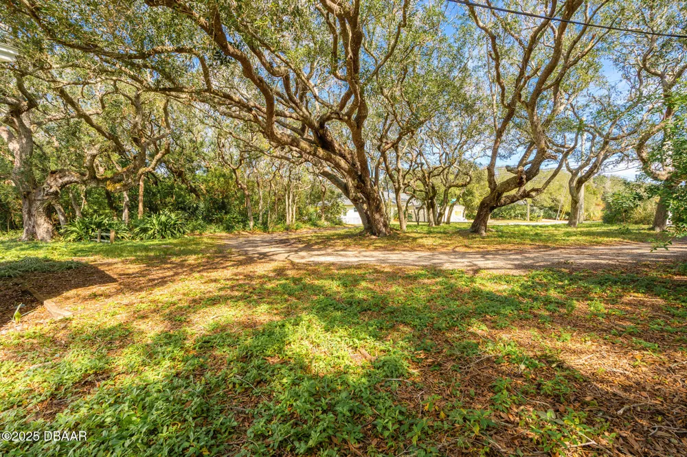4770 S Peninsula Drive Ponce Inlet, FL 32127