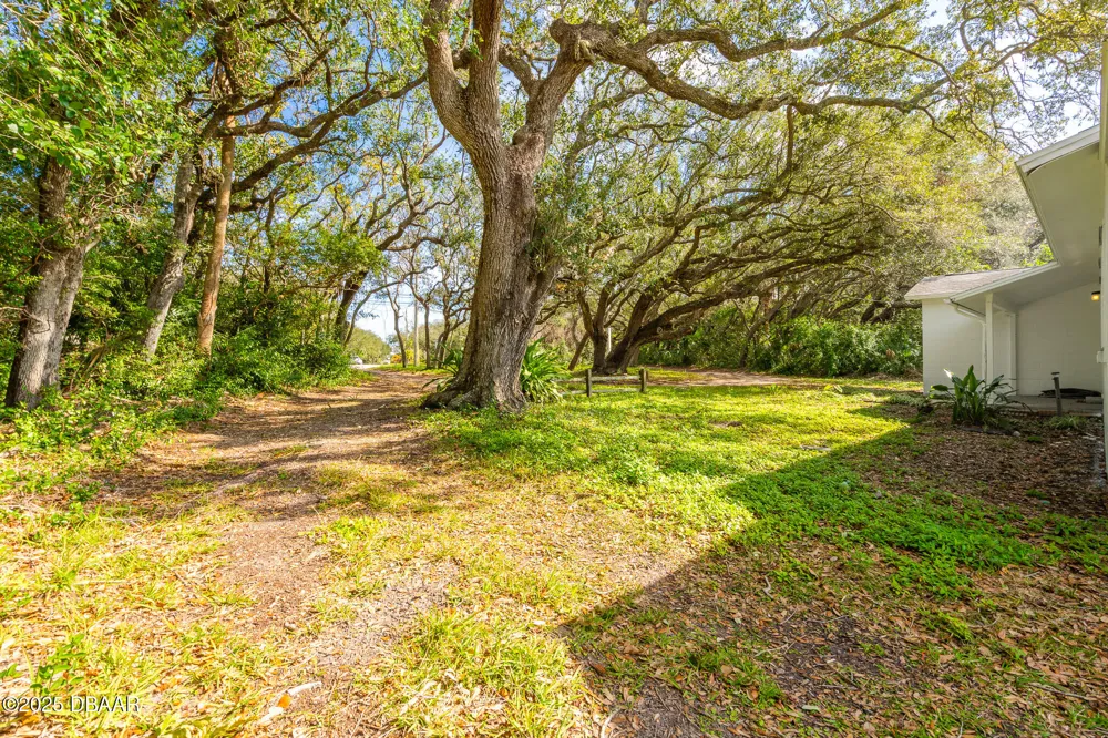 4770 S Peninsula Drive Ponce Inlet, FL 32127