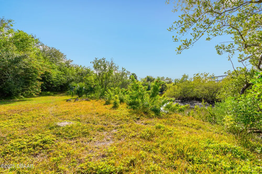 4770 S Peninsula Drive Ponce Inlet, FL 32127