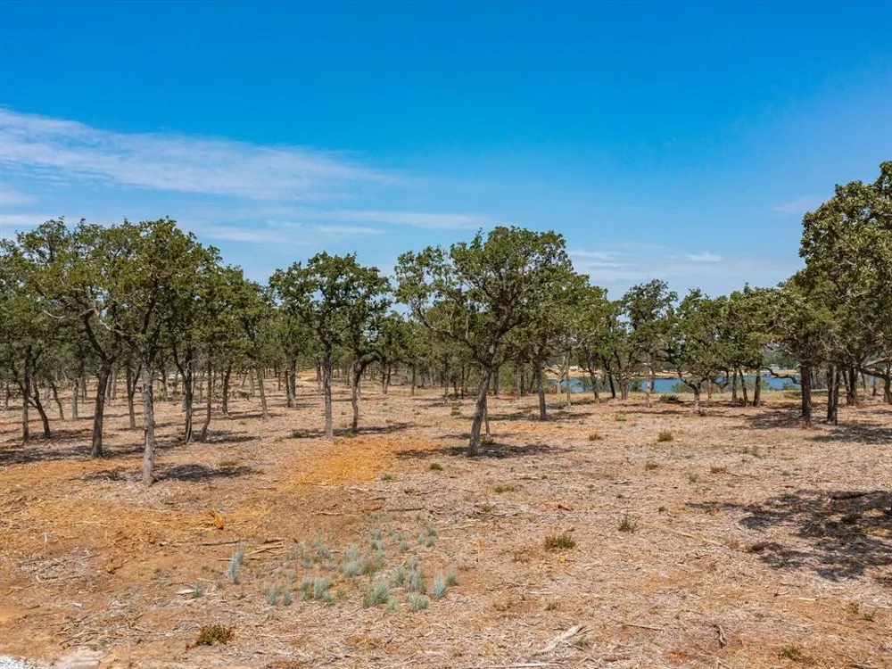 Choate Bowie, TX 76230