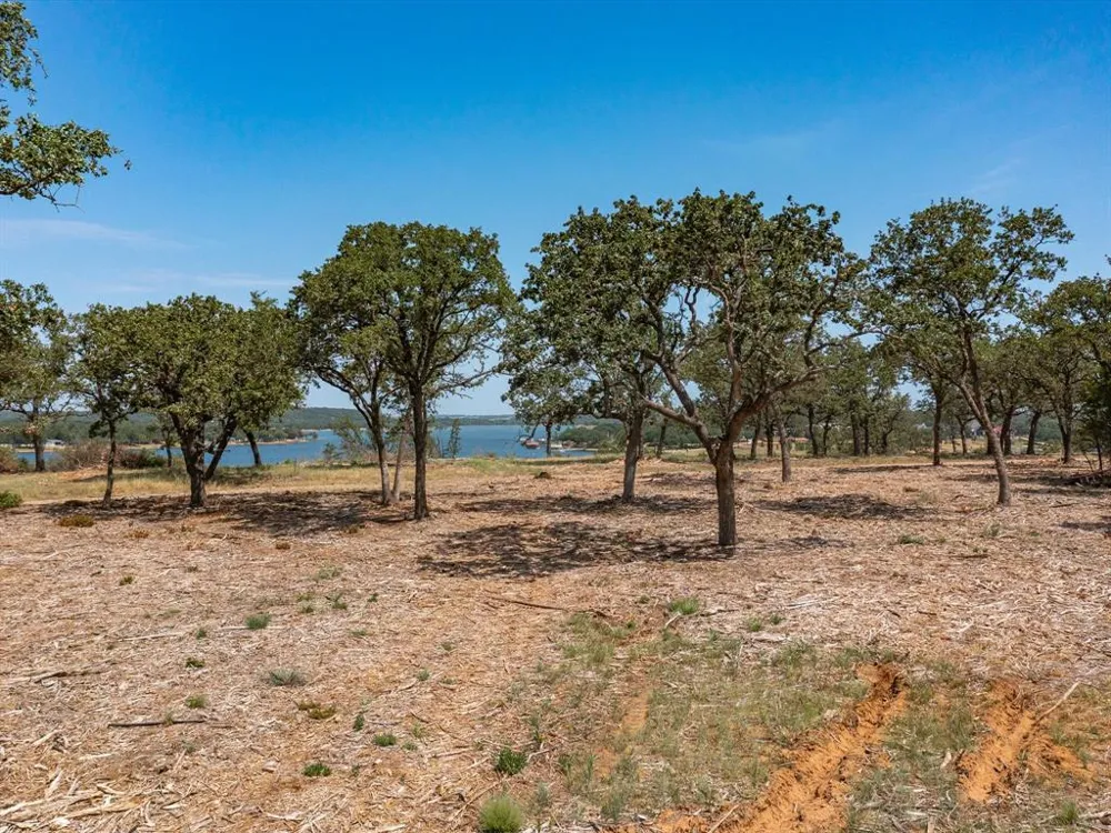 Choate Bowie, TX 76230