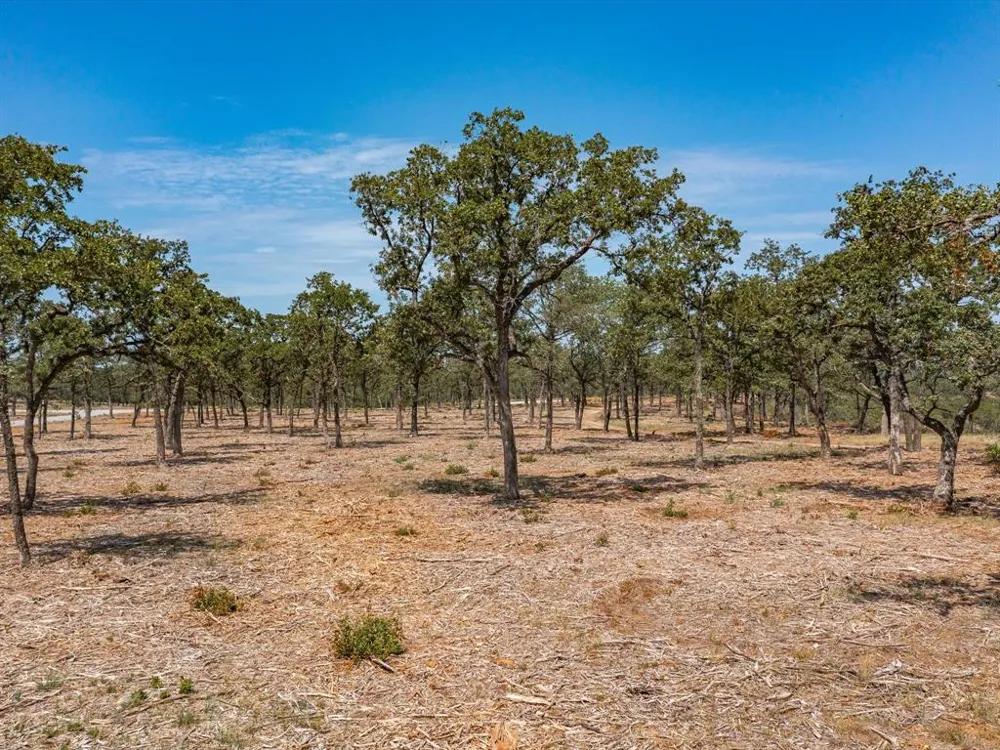 Choate Bowie, TX 76230