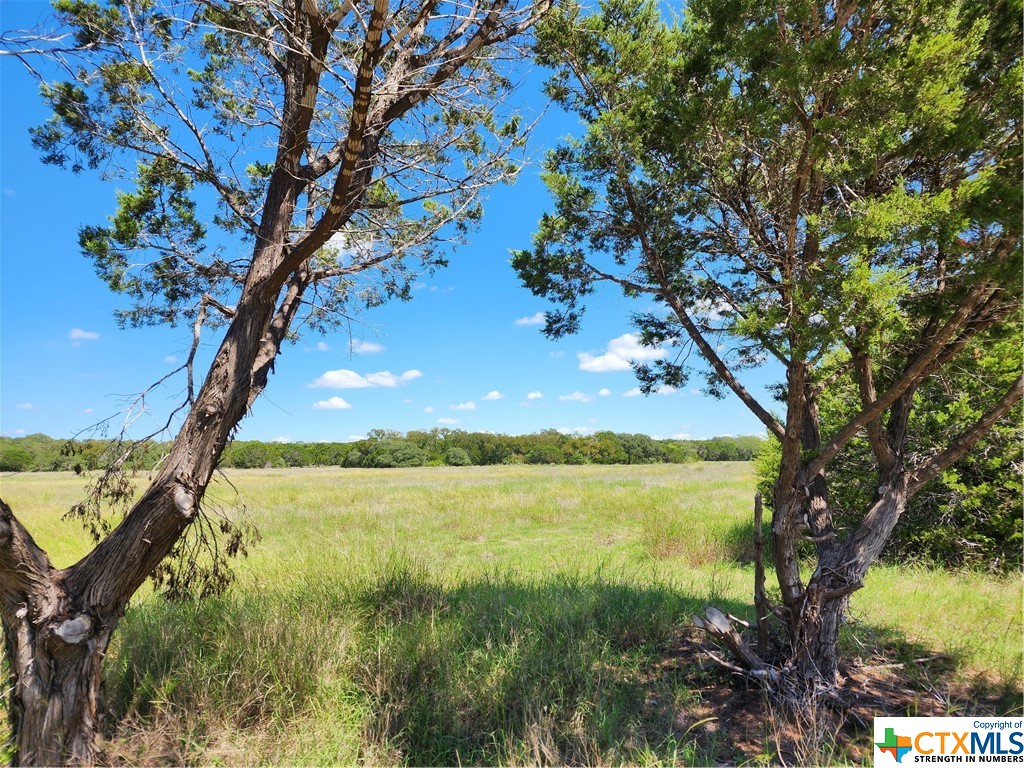 12353 Eagle Nest Road