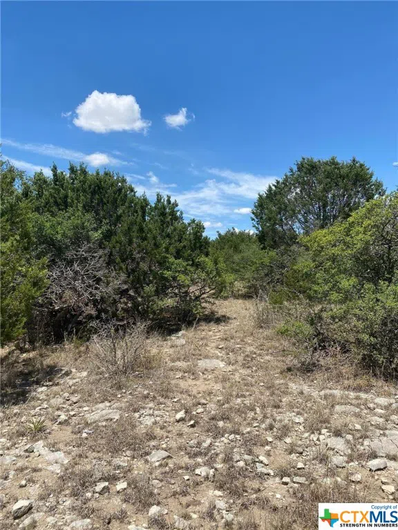 139 High Point Drive Kempner, TX 76539