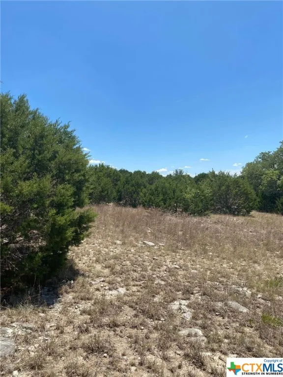 139 High Point Drive Kempner, TX 76539