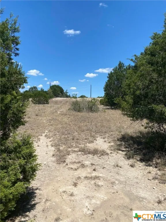 139 High Point Drive Kempner, TX 76539