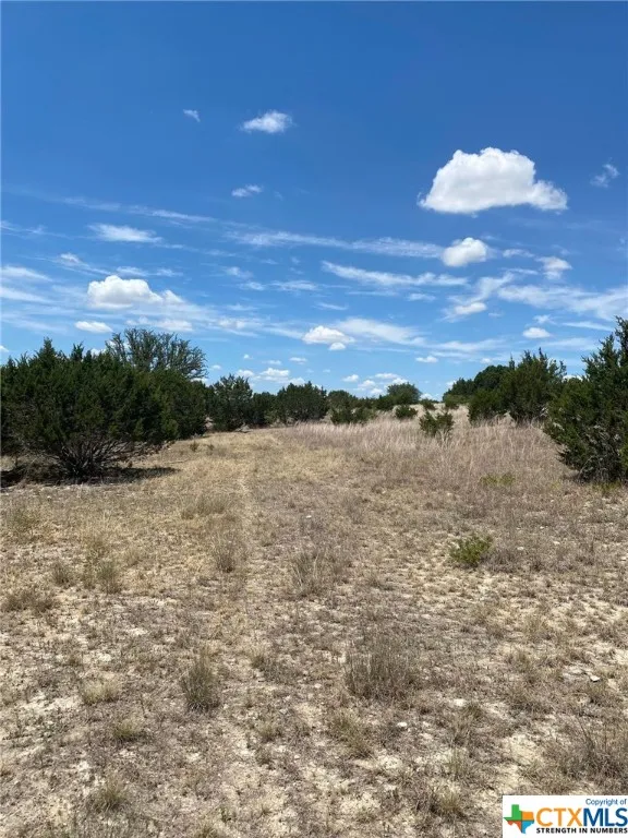 139 High Point Drive Kempner, TX 76539
