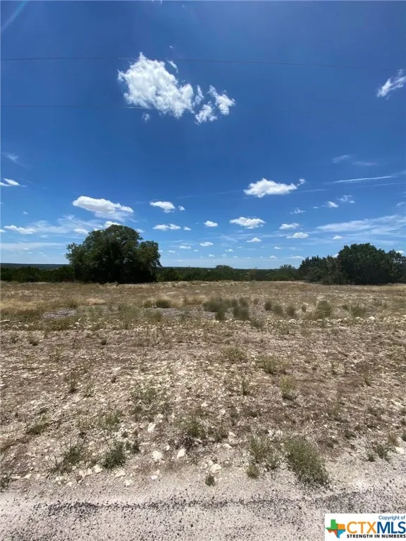 139 High Point Drive Kempner, TX 76539