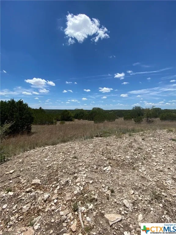 139 High Point Drive Kempner, TX 76539