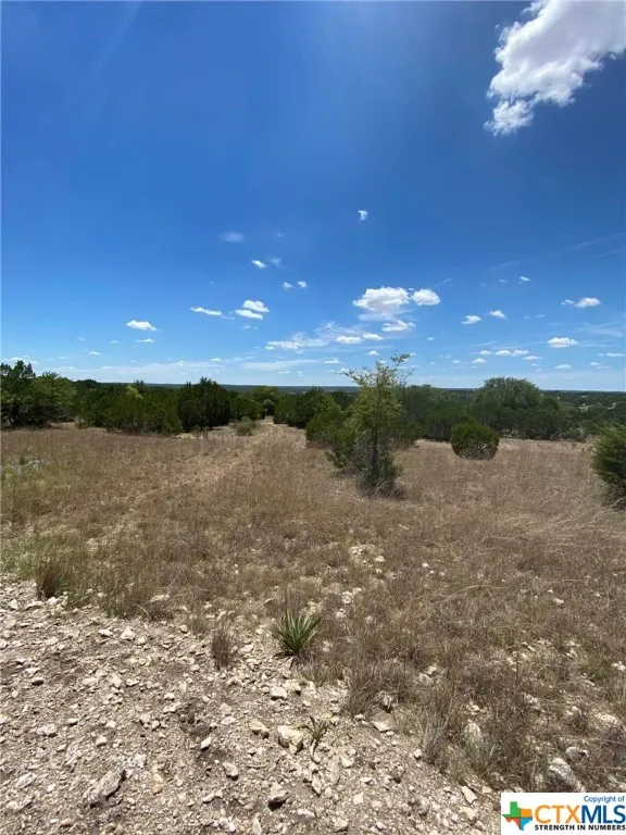 139 High Point Drive Kempner, TX 76539