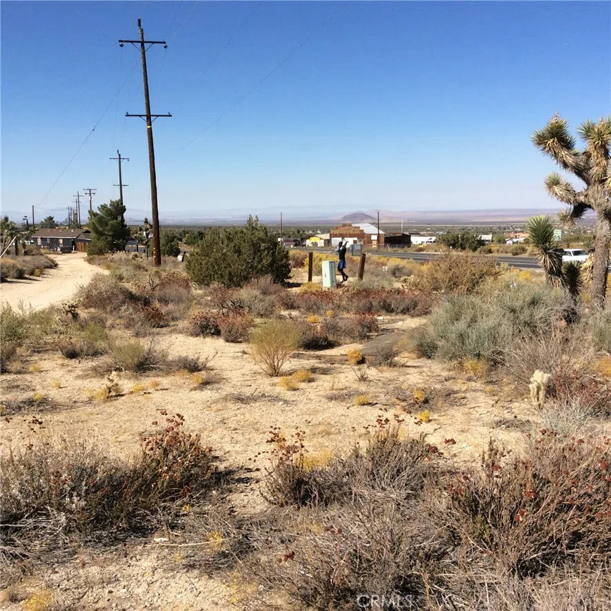 Smoketree Pinon Hills, CA 92372