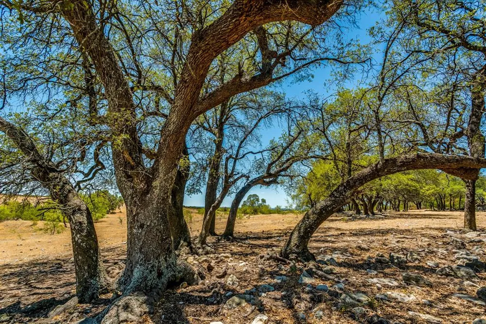 7700 Old Granbury Road Cresson, TX 76035